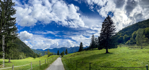 Tableau sur toile Scenic mountain road in the Slovenian Alps near Bled with green meadows and dram