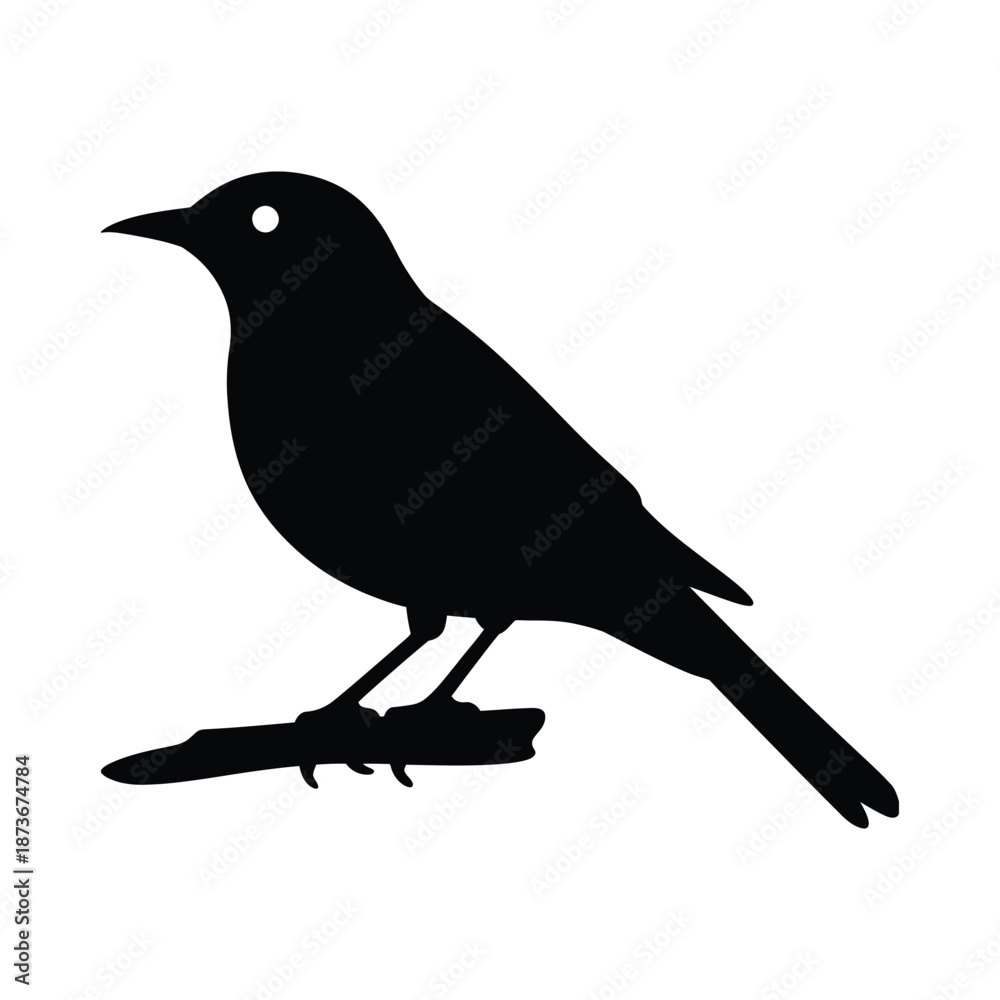 Obraz premium Crow Bird Silhouette Vector – Minimal Black Raven Perched Illustration