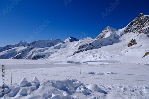 Vászonkép Jungfraujoch glaciers with an open snowfield