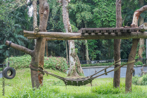Fotografija Outdoor zoo enclosure with wooden climbing structures and green surroundings, no animals present, representing habitat design, conservation spaces, and environmental themes