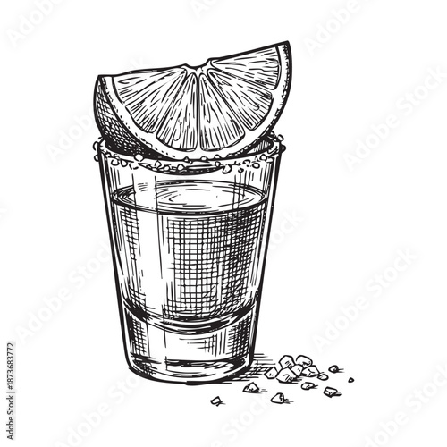 Hand-Drawn Engraving of a Tequila Shot Glass with Lime and Salt