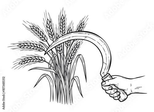 Hand holding a sharp sickle prepared to harvest ripe wheat stalks, symbolizing agriculture, hard work, and bounty, perfect for farming industry graphics or seasonal food advertisements