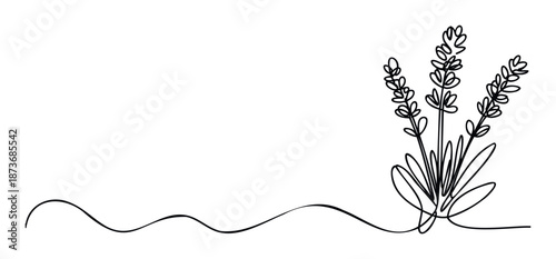 Elegant one line drawing of lavender flowers with a continuous flowing line perfect for aromatherapy product packaging, spa marketing materials, or minimalist decor.