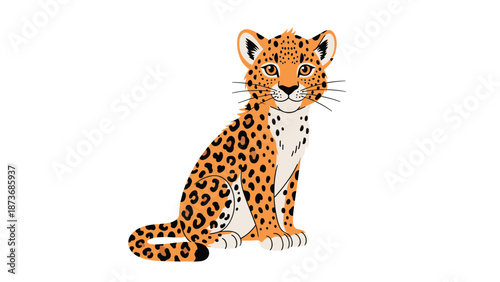 Beautiful young jaguar or leopard with distinctive spots sitting gracefully and looking forward against a clean white background.