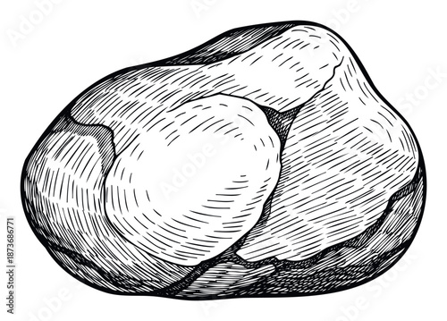Hand drawn black and white textured rock or nut kernel in an engraved style, perfect for natural history educational content or rustic product branding projects.