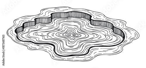 Abstract black and white wavy lines with a central starlike core resembling natural layers or wood grain ideal for backgrounds and decorative graphics