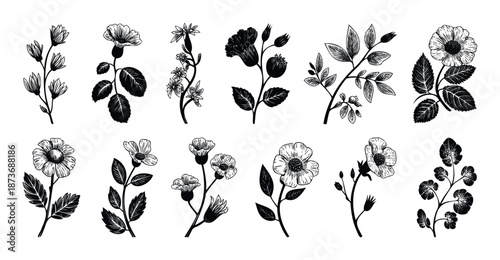 Collection of detailed botanical plant illustrations featuring various blooming flowers and leafy branches, perfect for natureinspired product packaging, textile printing, or vintage