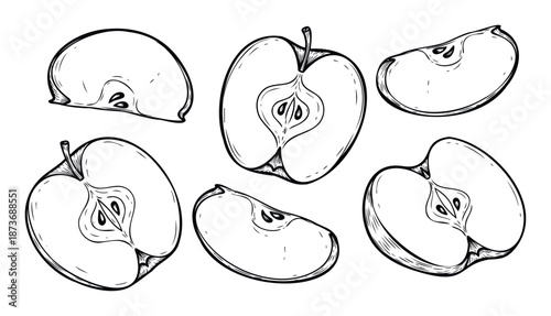 Hand drawn black and white apple slices for healthy food preparation and fresh fruit snack concepts suitable for menu designs or cookbook recipe pages