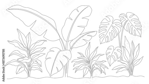 Tropical Plants and Leaves Illustration.