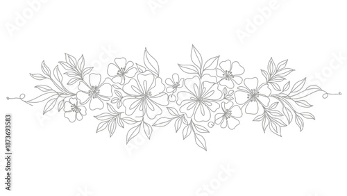 Floral Line Drawing of Flowers and Leaves.