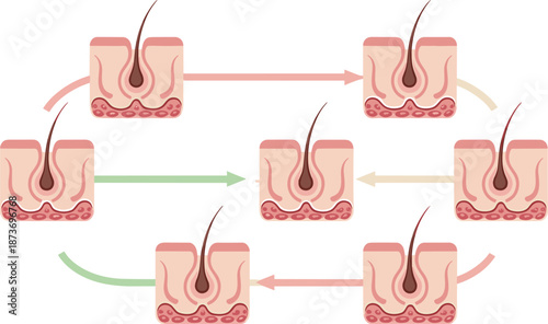 Halloween background with spooky haunted castle silhouette, glowing jack o lanterns, flying bats, full moon, spider webs and copy space