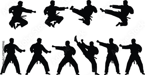 Silhouette martial artists performing kicks, punches, and advanced karate techniques, demonstrating discipline, strength, self-defense skills, and combat training on white background