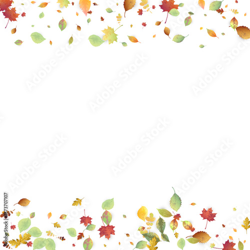 Leaves Falling Autumn Foliage Chaotic Leaf Flying