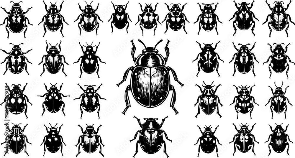 Fototapeta premium Beetle Variety: Ink Sketch Vector Illustration of Diverse Bug Species