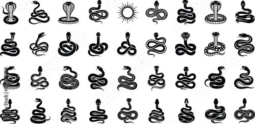 Snake, cobra, serpent, silhouette, tattoo design, black and white, reptile artwork, coiled snake, stylized illustration, symbolic animal, vector drawing