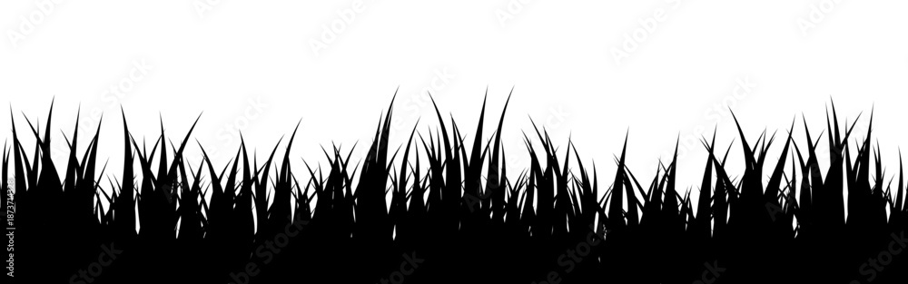 Fototapeta premium Meadow silhouette with grass, plants on plain. Panoramic summer lawn landscape with herbs, various weeds. Herbal border, frame element. Black horizontal banners. Vector illustration