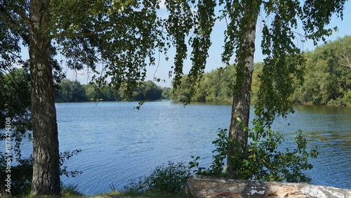 lake, birch, leaves. sky, nature, travel