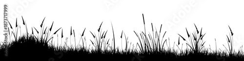 Meadow silhouette with grass, plants on plain. Panoramic summer lawn landscape with herbs, various weeds. Herbal border, frame element. Black horizontal banners. Vector illustration