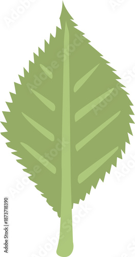 緑の葉のイラスト 透明背景