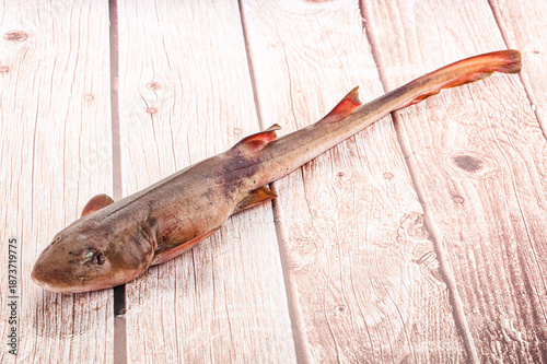 Fotografia Raw indian catshark for cooking