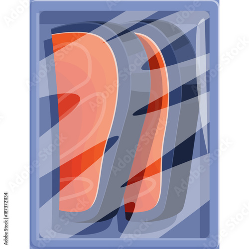 Cartoon Slices of Salmon in Packaging