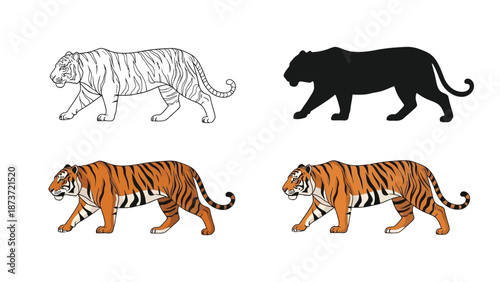 Set of four illustrations of a walking tiger outline drawing, silhouette, original color, and filled color version, labeled ostutine and original color