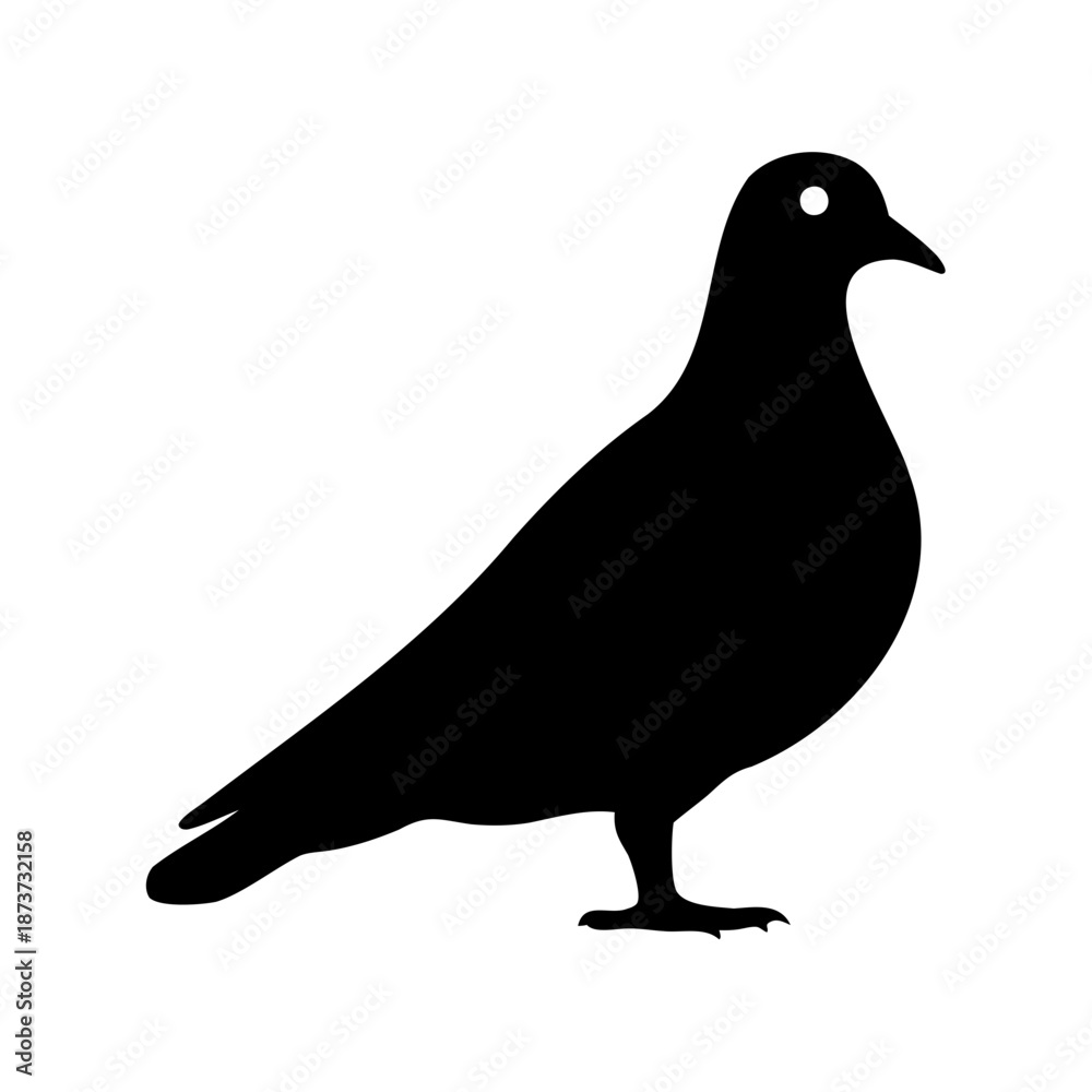 Φωτογραφία pigeon silhouette isolated on white