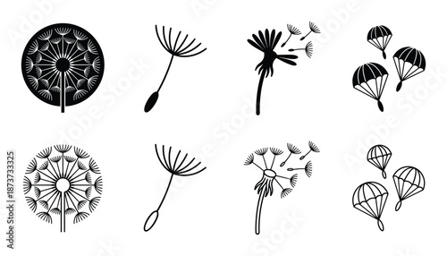 Dandelion seeds vector illustrations: full flower, seeds flying, and parachute seed dispersal icons