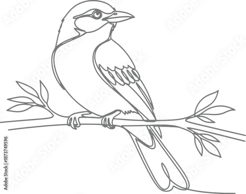Vector illustration of a cute black crow with detailed feathers and beak perched on a nature branch design featuring wildlife art elements