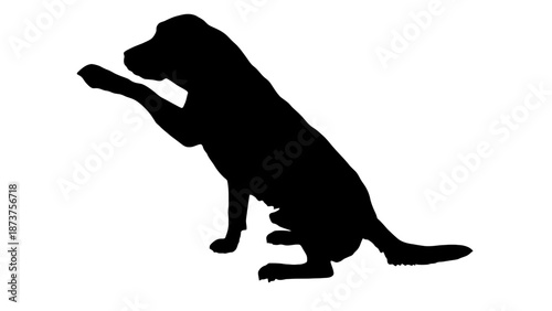 A black silhouette of a dog sitting on its hind legs