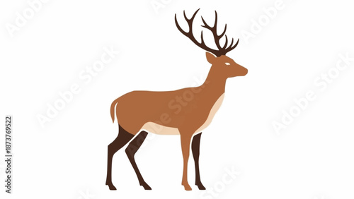Majestic Stag Standing Proudly Isolated on White Background.