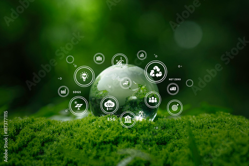 Wallpaper Mural Sustainable environment concept with glass globe on green moss,   renewable energy, CO2 reduction, and net zero goals for global sustainability and eco-friendly business. Green Supply Chain and ESG Torontodigital.ca