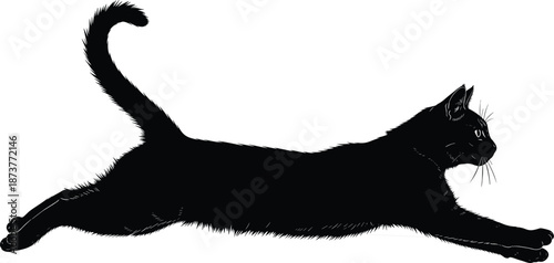 Silhouette of a leaping cat in mid-air motion with extended limbs, curved tail, and dynamic pose on white background