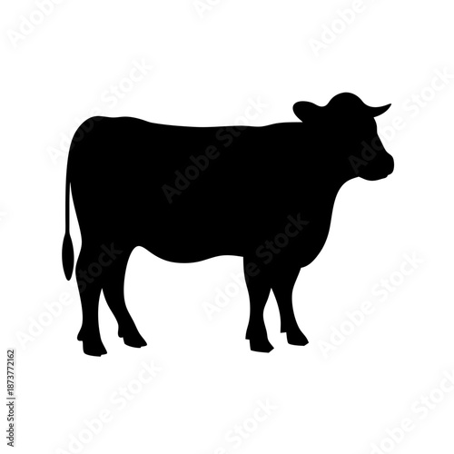Silhouette of a cow