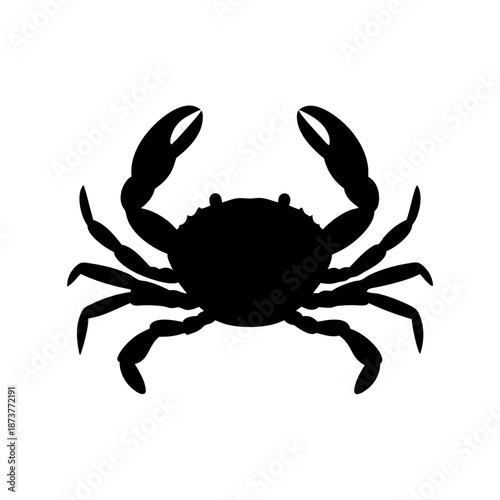Silhouette of a crab