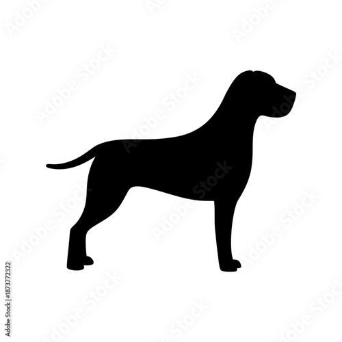 Silhouette of a standing dog