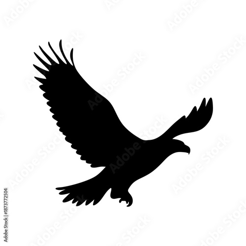 Silhouette of a soaring eagle