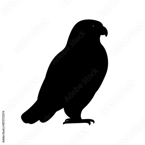 Silhouette of a majestic bird