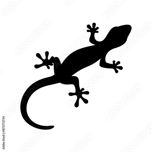Silhouette of a lizard