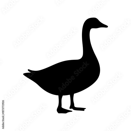 Silhouette of a standing duck
