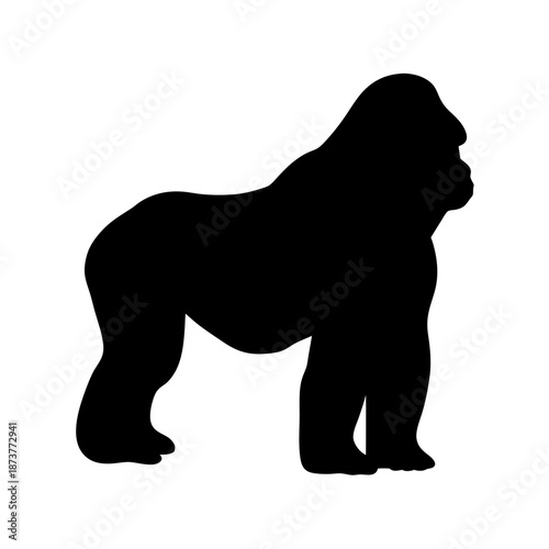 Silhouette of a gorilla