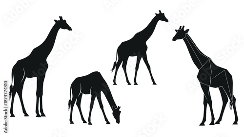 Set of four giraffe silhouettes in different styles, clean vector illustrations.