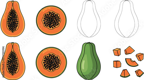 Fresh orange papaya fruit vector collection featuring whole fruit, half slices with seeds, diced cubes, and dashed tracing lines.
