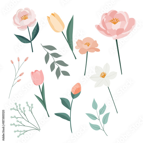 Pastel spring flowers and leaves floral elements set