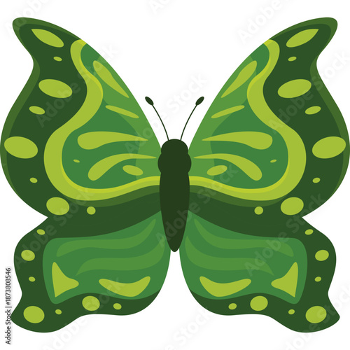 Green Butterfly Illustration
