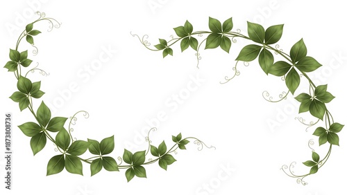 Wallpaper Mural A delicate green vine wreath with small leaves and flowers on a white background Torontodigital.ca