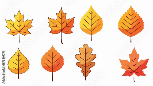 Eight autumn leaves in warm colors, stylized with dark outlines
