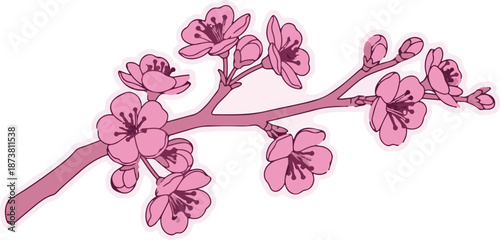 Delicate pink blossoms adorn a slender branch, hinting at spring's arrival