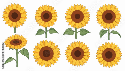 Collection of eight yellow and brown sunflowers with green stems and leaves