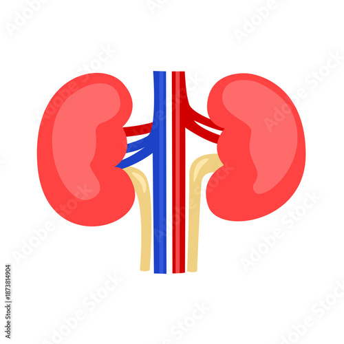 Chronic Kidney Disease with Sodium Concept